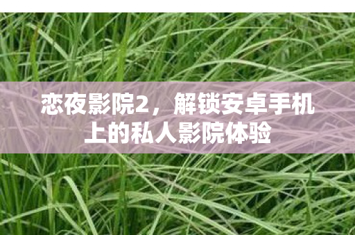 恋夜影院2，解锁安卓手机上的私人影院体验