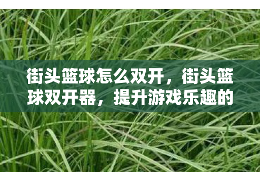 街头篮球怎么双开，街头篮球双开器，提升游戏乐趣的黑科技