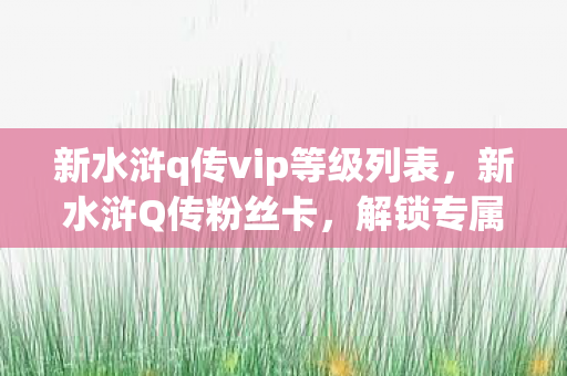 新水浒q传vip等级列表，新水浒Q传粉丝卡，解锁专属福利，重温经典回忆