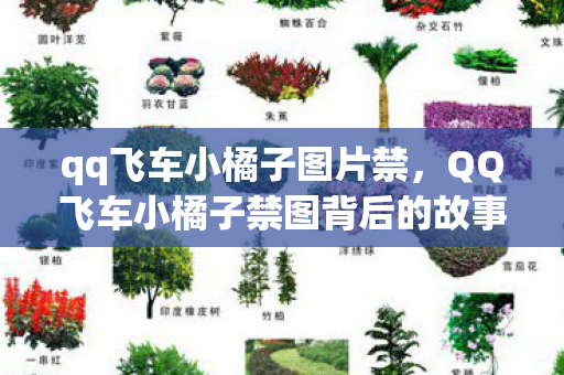 qq飞车小橘子图片禁，QQ飞车小橘子禁图背后的故事