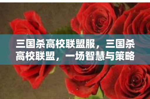 三国杀高校联盟服，三国杀高校联盟，一场智慧与策略的风暴