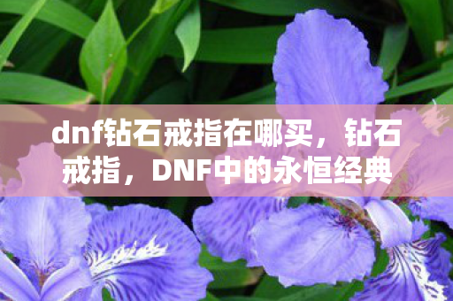 dnf钻石戒指在哪买,钻石戒指,DNF中的永恒经典 dnf钻石戒指在哪买,钻石戒指,DNF中的永恒经典
