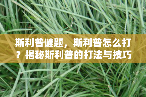 斯利普谜题，斯利普怎么打？揭秘斯利普的打法与技巧