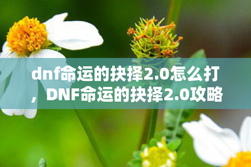 dnf命运的抉择2.0怎么打，DNF命运的抉择2.0攻略，掌握核心策略，轻松通关