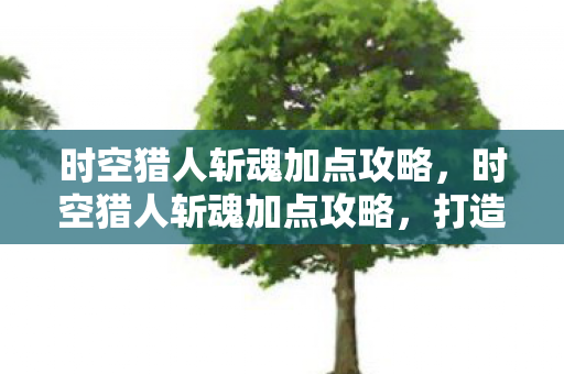 时空猎人斩魂加点攻略，时空猎人斩魂加点攻略，打造最强战斗力的关键