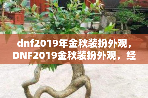 dnf2019年金秋装扮外观，DNF2019金秋装扮外观，经典再现，炫酷升级