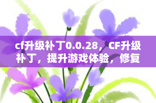 cf升级补丁0.0.28，CF升级补丁，提升游戏体验，修复常见问题