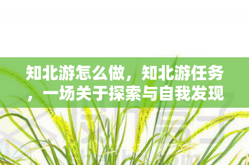 知北游怎么做，知北游任务，一场关于探索与自我发现的旅程