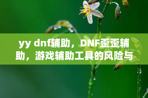 yy dnf辅助，DNF歪歪辅助，游戏辅助工具的风险与合规性探讨