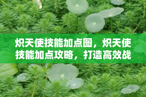 炽天使技能加点图，炽天使技能加点攻略，打造高效战斗力的关键