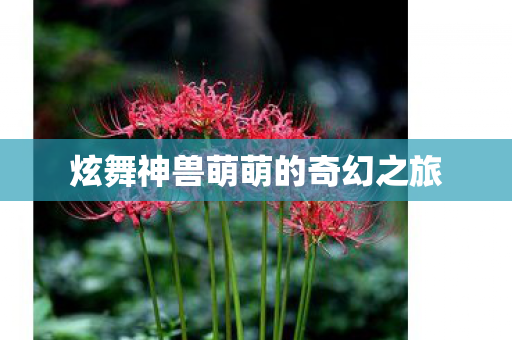 炫舞神兽萌萌的奇幻之旅 炫舞神兽萌萌的奇幻之旅