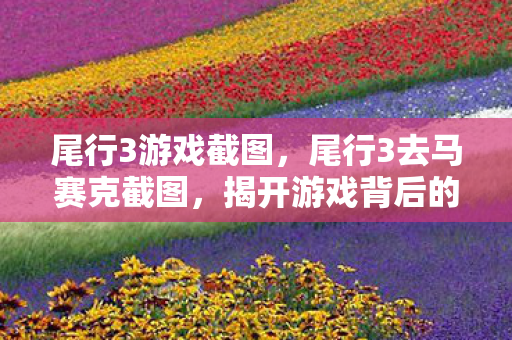 尾行3游戏截图，尾行3去马赛克截图，揭开游戏背后的秘密