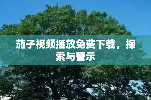 茄子视频播放免费下载，探索与警示