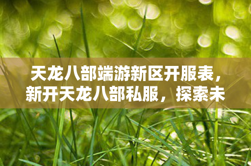 天龙八部端游新区开服表，新开天龙八部私服，探索未知世界的奇幻之旅