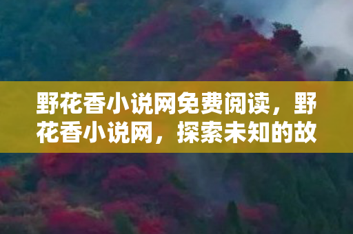 野花香小说网免费阅读，野花香小说网，探索未知的故事世界