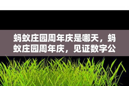 蚂蚁庄园周年庆是哪天，蚂蚁庄园周年庆，见证数字公益的温暖力量