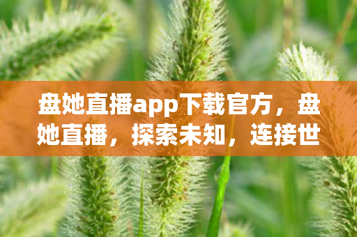 盘她直播app下载官方，盘她直播，探索未知，连接世界的娱乐新平台