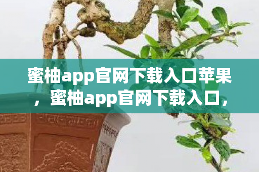 蜜柚app官网下载入口苹果，蜜柚app官网下载入口，解锁你的娱乐新选择