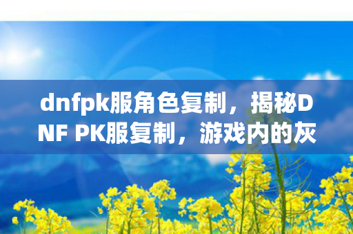dnfpk服角色复制，揭秘DNF PK服复制，游戏内的灰色产业链