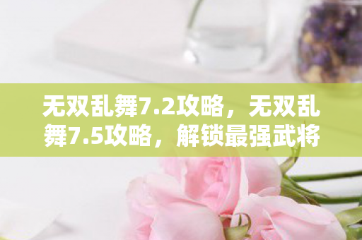 无双乱舞7.2攻略，无双乱舞7.5攻略，解锁最强武将，称霸战场！