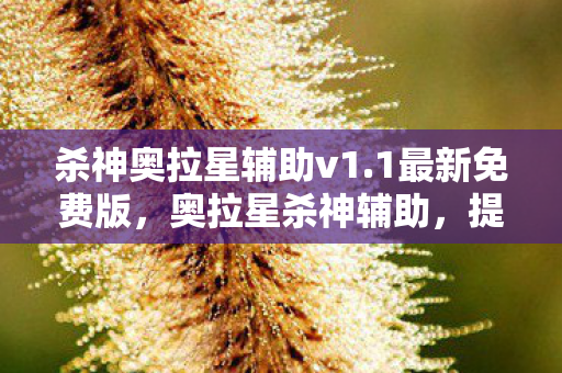 杀神奥拉星辅助v1.1最新免费版，奥拉星杀神辅助，提升战斗效率的神秘利器