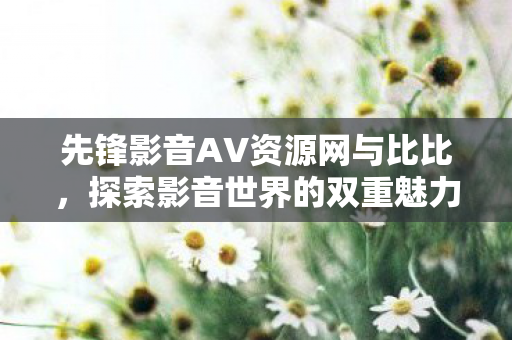 先锋影音AV资源网与比比,探索影音世界的双重魅力 先锋影音AV资源网与比比,探索影音世界的双重魅力