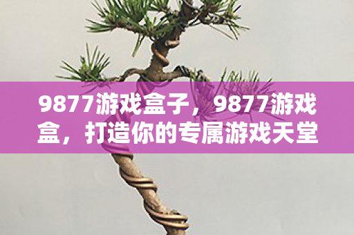 9877游戏盒子，9877游戏盒，打造你的专属游戏天堂