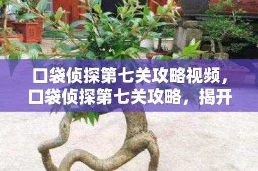 口袋侦探第七关攻略视频，口袋侦探第七关攻略，揭开真相的序幕