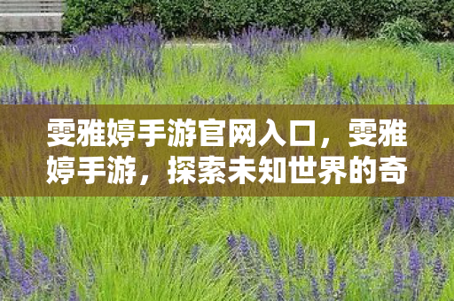 雯雅婷手游官网入口，雯雅婷手游，探索未知世界的奇妙之旅