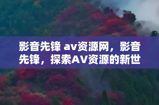 影音先锋 av资源网，影音先锋，探索AV资源的新世界