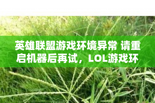 英雄联盟游戏环境异常 请重启机器后再试，LOL游戏环境异常？重启机器，让游戏更流畅！