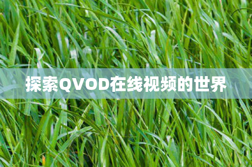 探索QVOD在线视频的世界