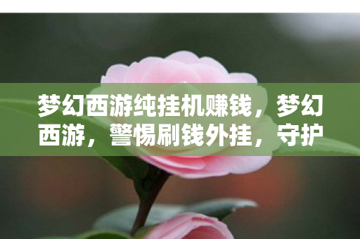 梦幻西游纯挂机赚钱，梦幻西游，警惕刷钱外挂，守护游戏公平