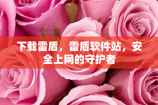 下载雷盾，雷盾软件站，安全上网的守护者