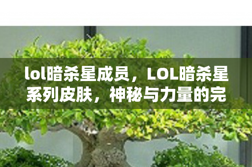 lol暗杀星成员，LOL暗杀星系列皮肤，神秘与力量的完美结合