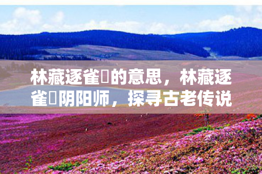 林藏逐雀鹯的意思，林藏逐雀鹯阴阳师，探寻古老传说中的神秘力量