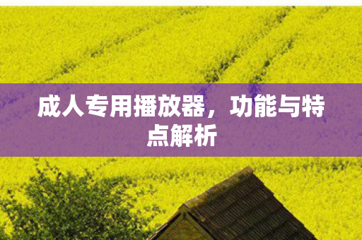 成人专用播放器，功能与特点解析