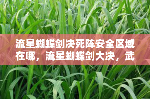 流星蝴蝶剑决死阵安全区域在哪，流星蝴蝶剑大决，武侠世界的终极对决