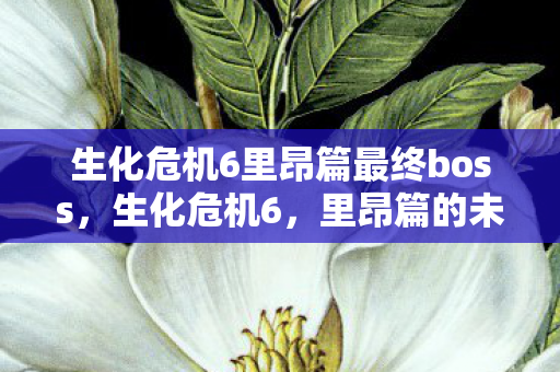 生化危机6里昂篇最终boss,生化危机6,里昂篇的未解之谜—那些令人困惑的BUG 生化危机6里昂篇最终boss,生化危机6,里昂篇的未解之谜—那些令人困惑的BUG