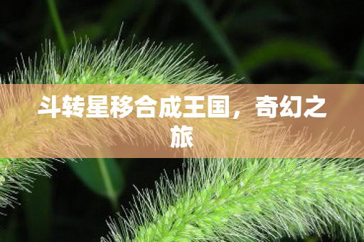 斗转星移合成王国,奇幻之旅 斗转星移合成王国,奇幻之旅