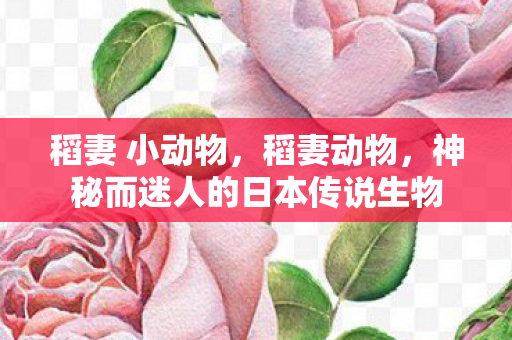 稻妻 小动物,稻妻动物,神秘而迷人的日本传说生物 稻妻 小动物,稻妻动物,神秘而迷人的日本传说生物