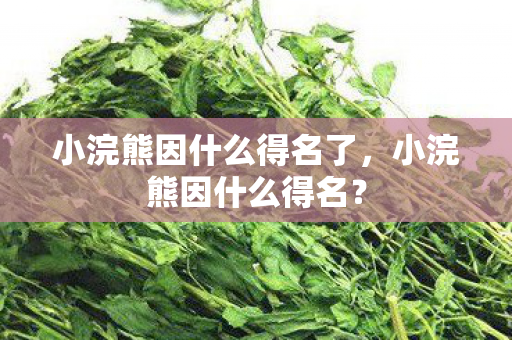 小浣熊因什么得名了，小浣熊因什么得名？