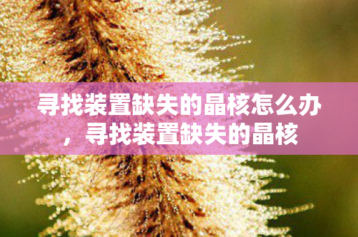 寻找装置缺失的晶核怎么办，寻找装置缺失的晶核