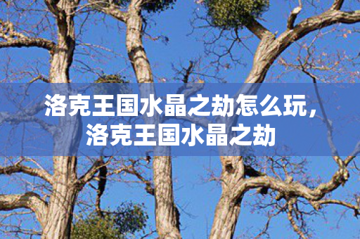 洛克王国水晶之劫怎么玩,洛克王国水晶之劫 洛克王国水晶之劫怎么玩,洛克王国水晶之劫