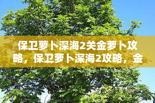 保卫萝卜深海2关金萝卜攻略，保卫萝卜深海2攻略，金萝卜布阵图详解
