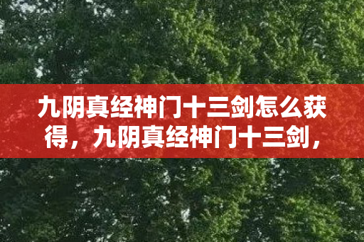 九阴真经神门十三剑怎么获得，九阴真经神门十三剑，武侠世界的神秘剑法