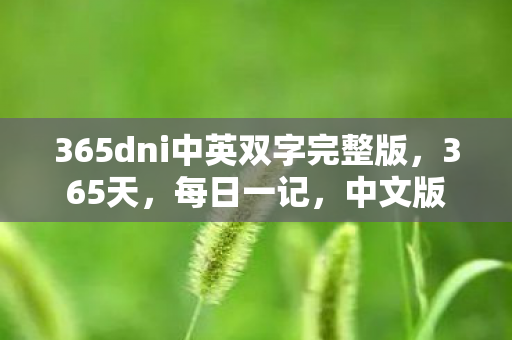 365dni中英双字完整版，365天，每日一记，中文版