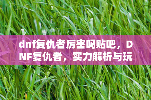 dnf复仇者厉害吗贴吧,DNF复仇者,实力解析与玩法指南 dnf复仇者厉害吗贴吧,DNF复仇者,实力解析与玩法指南