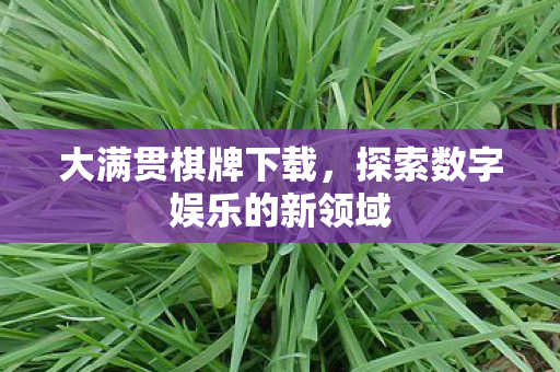 大满贯棋牌下载,探索数字娱乐的新领域 大满贯棋牌下载,探索数字娱乐的新领域