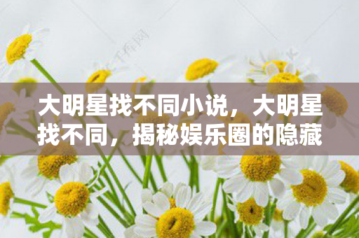 大明星找不同小说，大明星找不同，揭秘娱乐圈的隐藏差异
